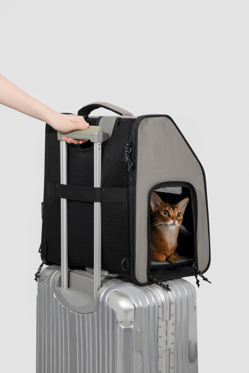 HiDREAM Ultra-Light Large Pet Backpack For Dogs & Cats