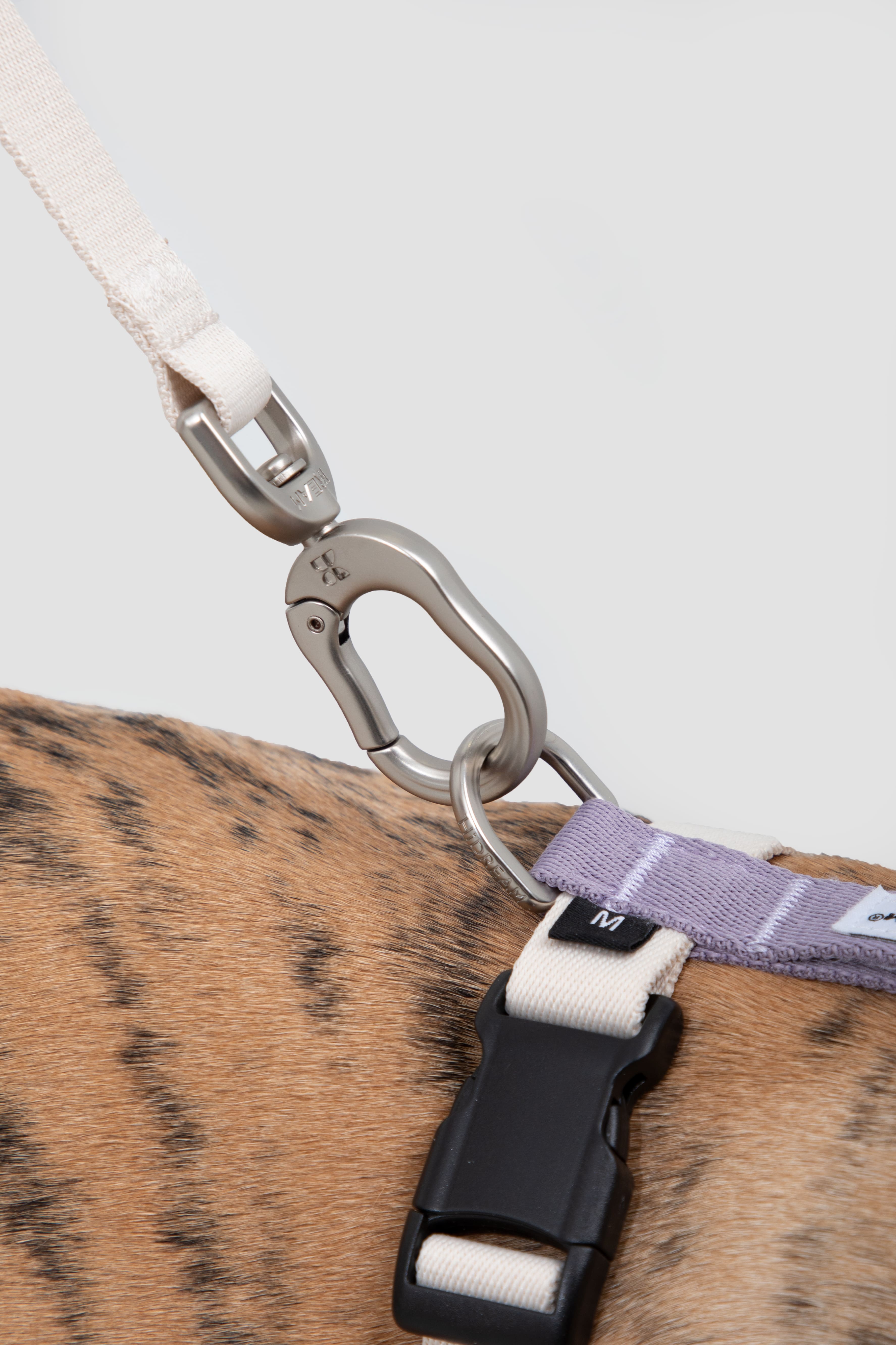 HiDREAM Valley Adjustable Dog Harness & Leash Set