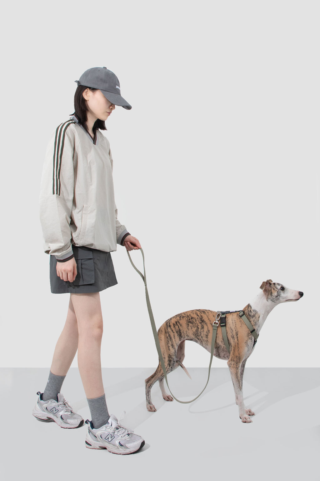 HiDREAM Valley 調節可能な犬用ハーネス＆リードセット