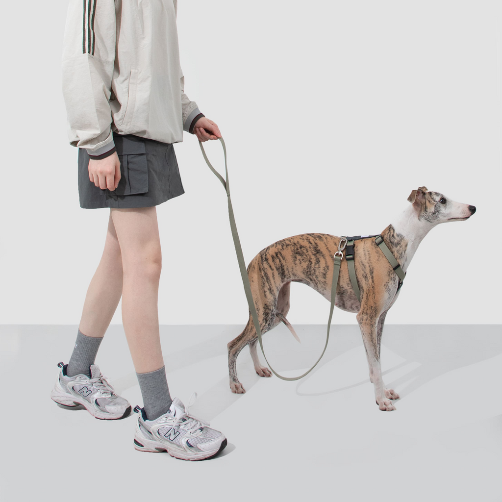 HiDREAM Valley 調節可能な犬用ハーネス＆リードセット