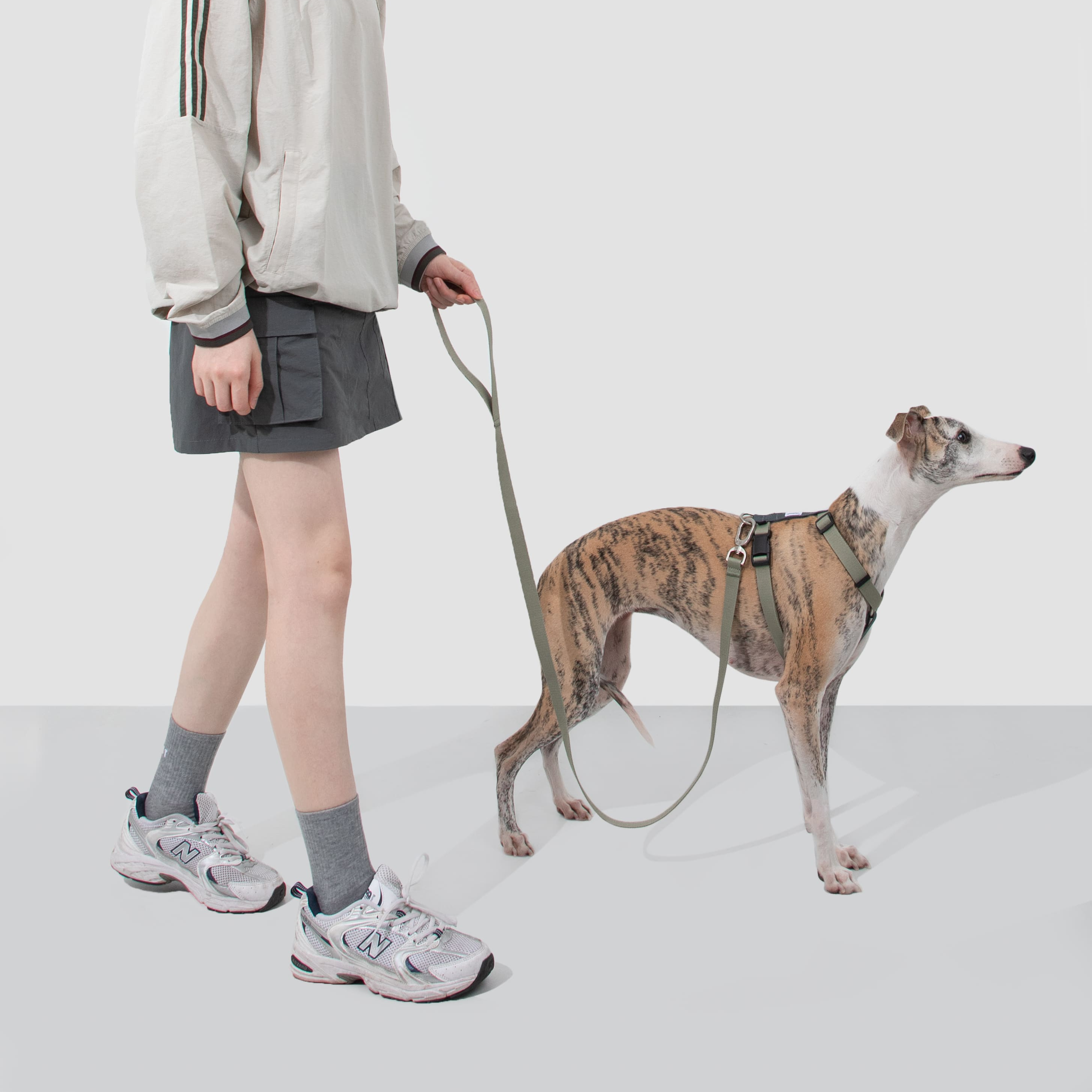 HiDREAM Valley Adjustable Dog Harness & Leash Set