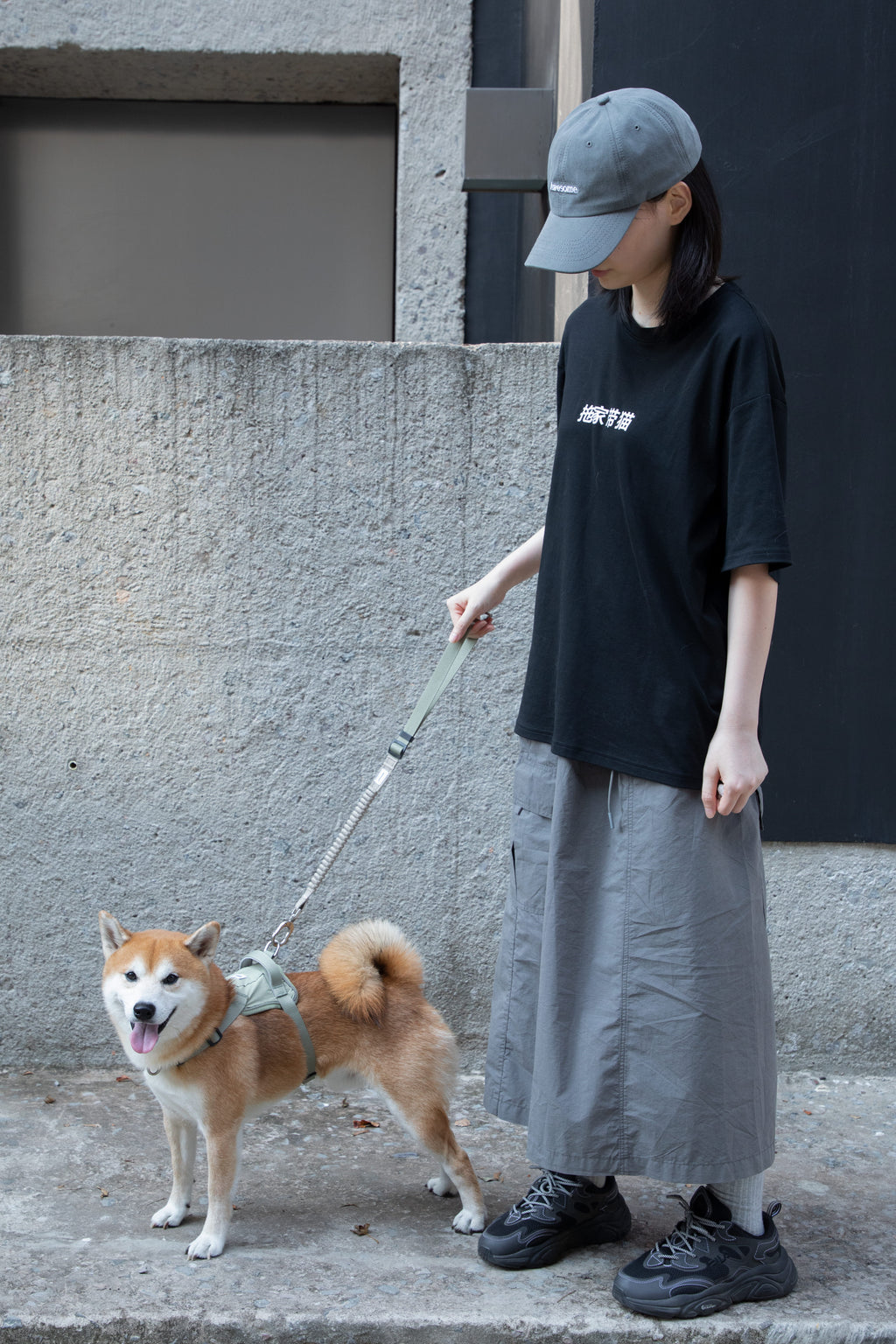 HiDREAM Valley Autosicherheits-Hundegurt-Leine