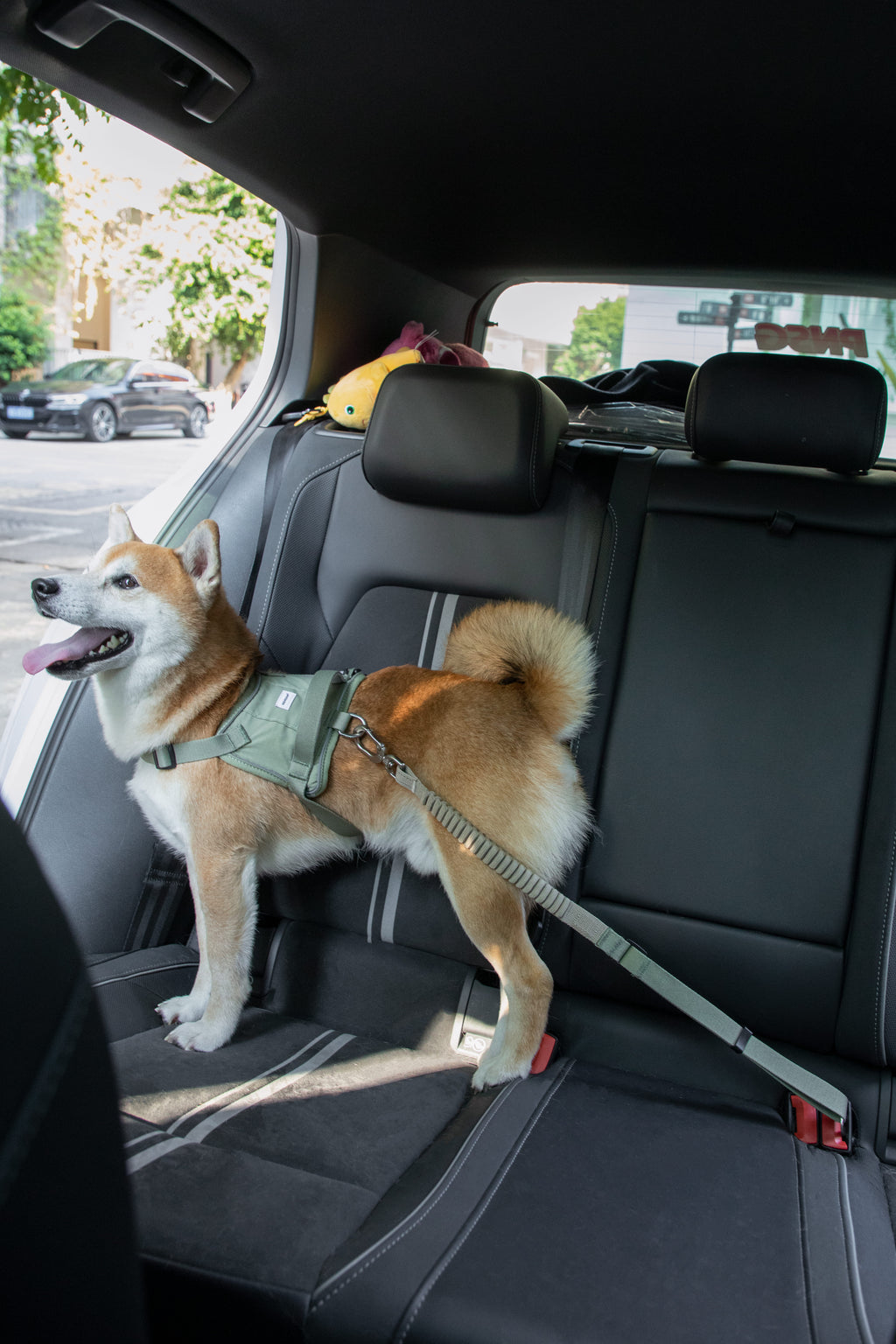 HiDREAM Valley Autosicherheits-Hundegurt-Leine