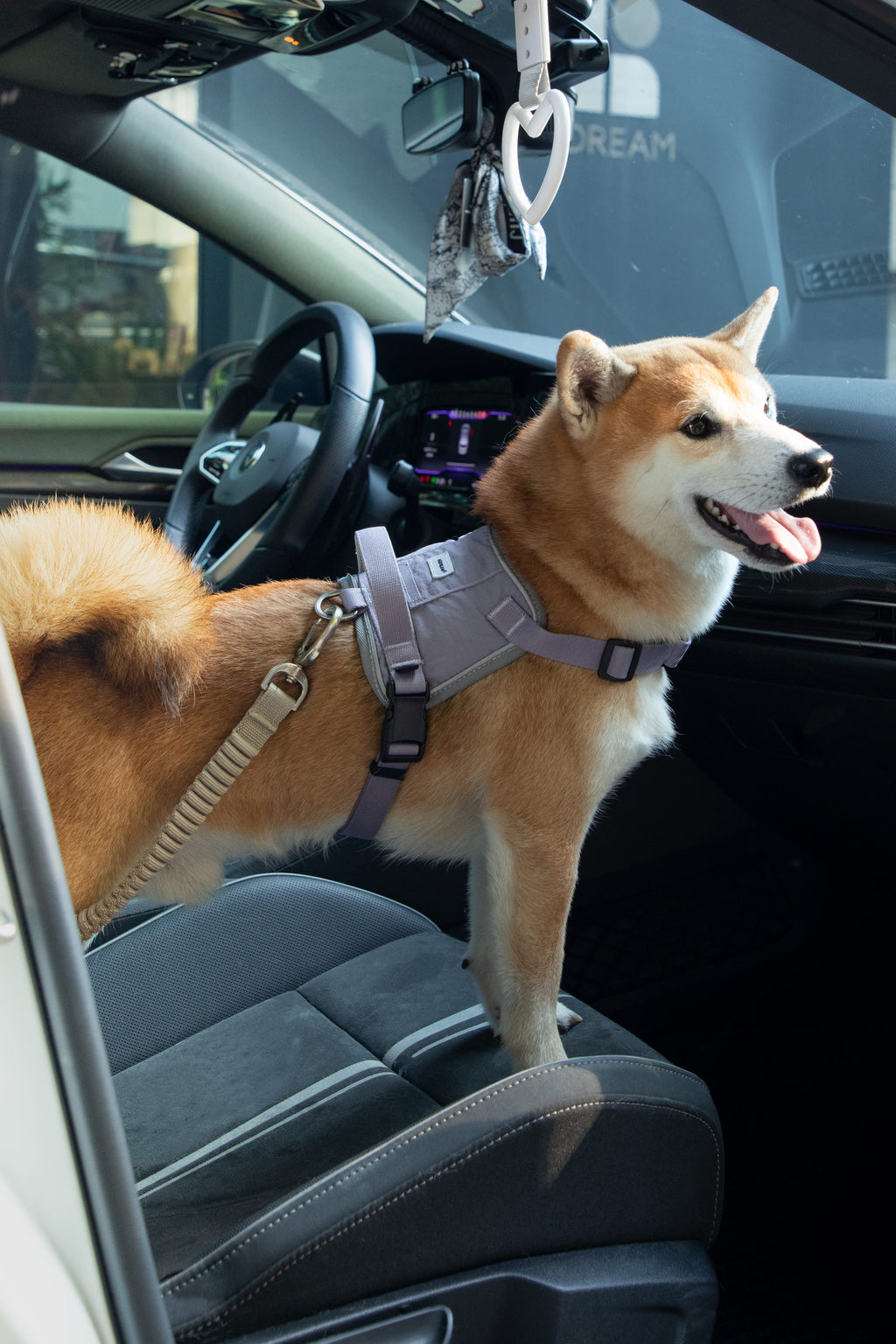 HiDREAM Valley Autosicherheits-Hundegurt-Leine