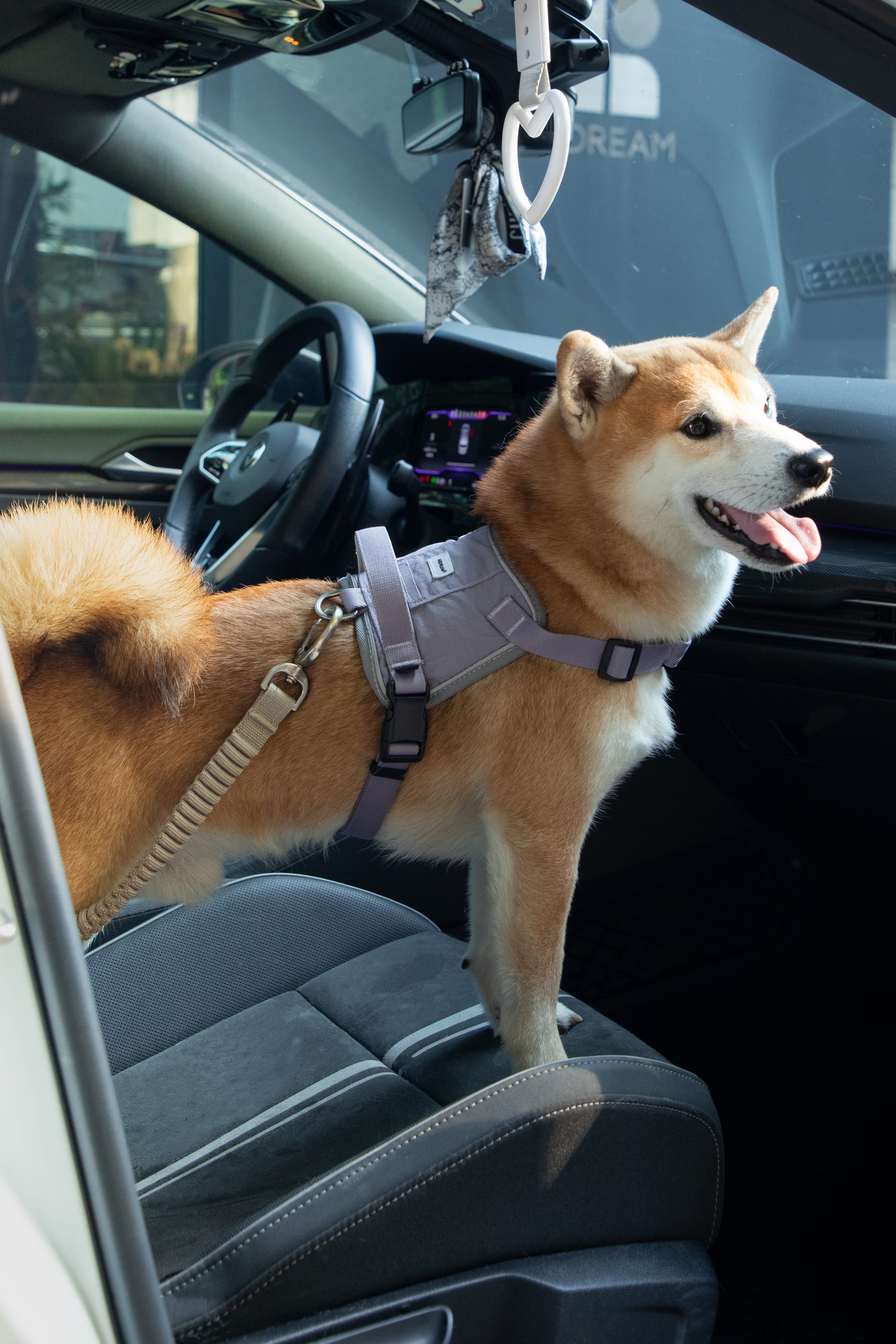 HiDREAM Valley Car Safety Dog Seatbelt Tether