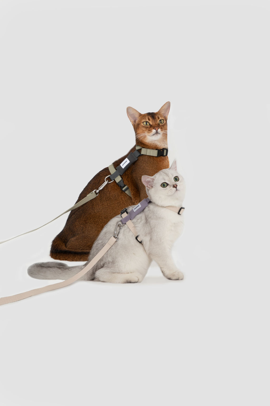 HiDREAM Valley H-Type Cat Harness & Leash Set