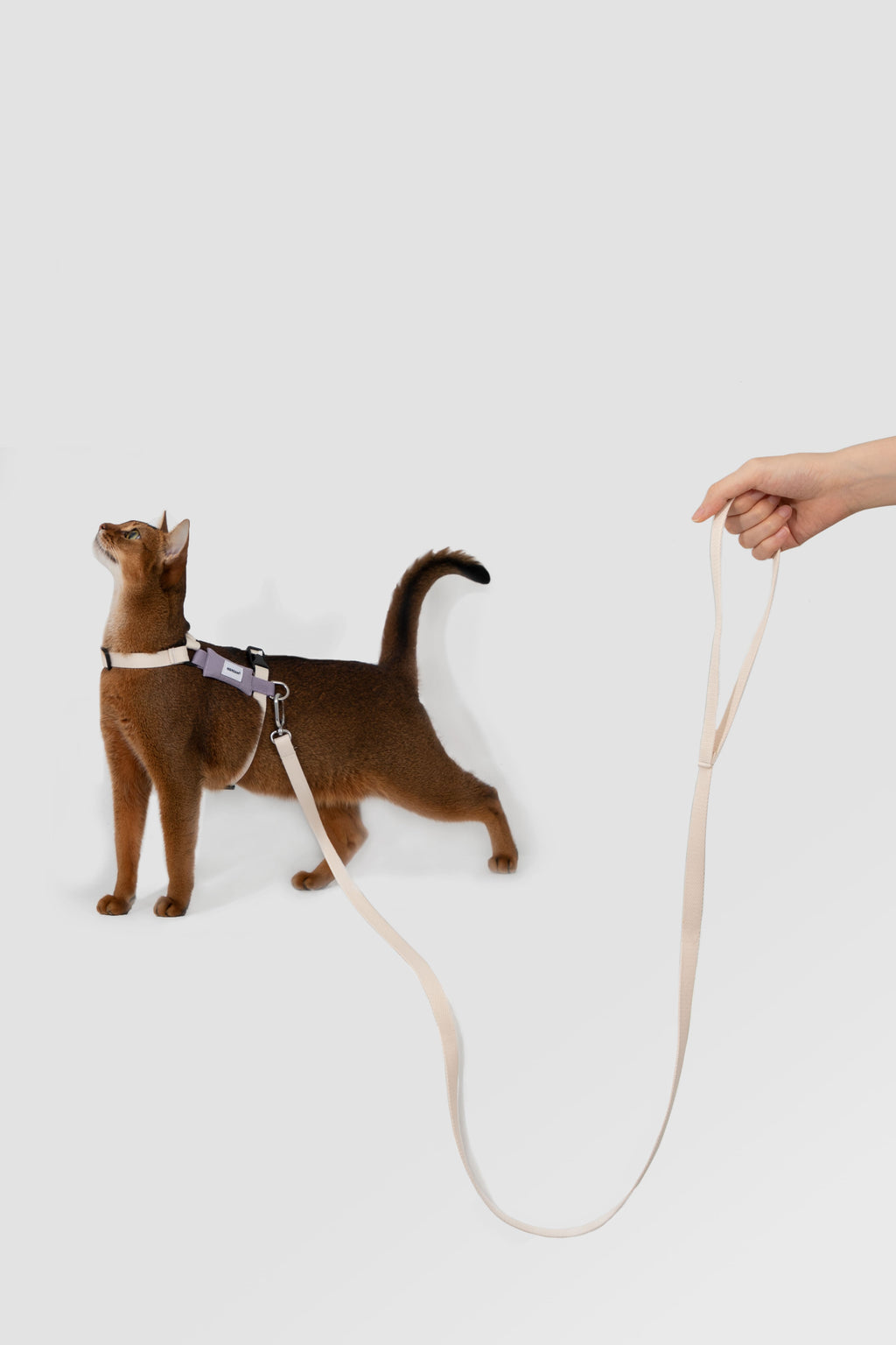 HiDREAM Valley H-Type Cat Harness & Leash Set