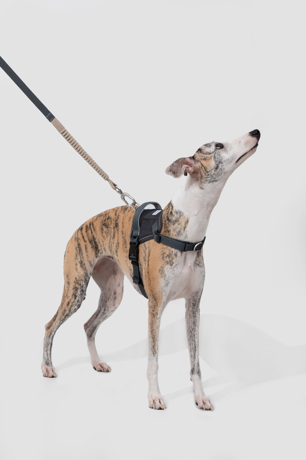 HiDREAM Valley Multi-Function No-Pull Dog Leash