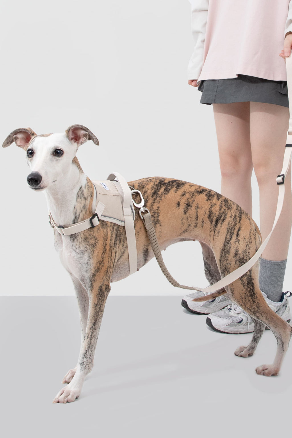 HiDREAM Valley Multi-Function No-Pull Dog Leash
