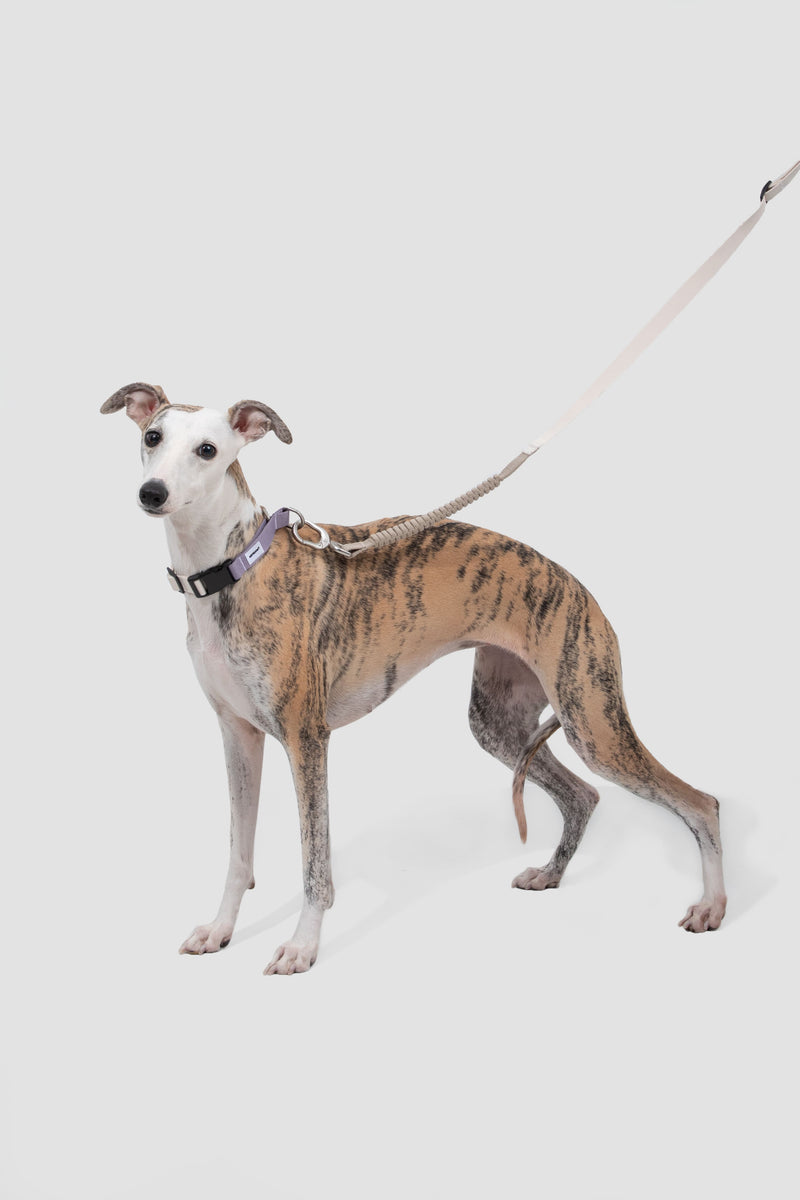 HiDREAM Valley Multi-Function No-Pull Dog Leash