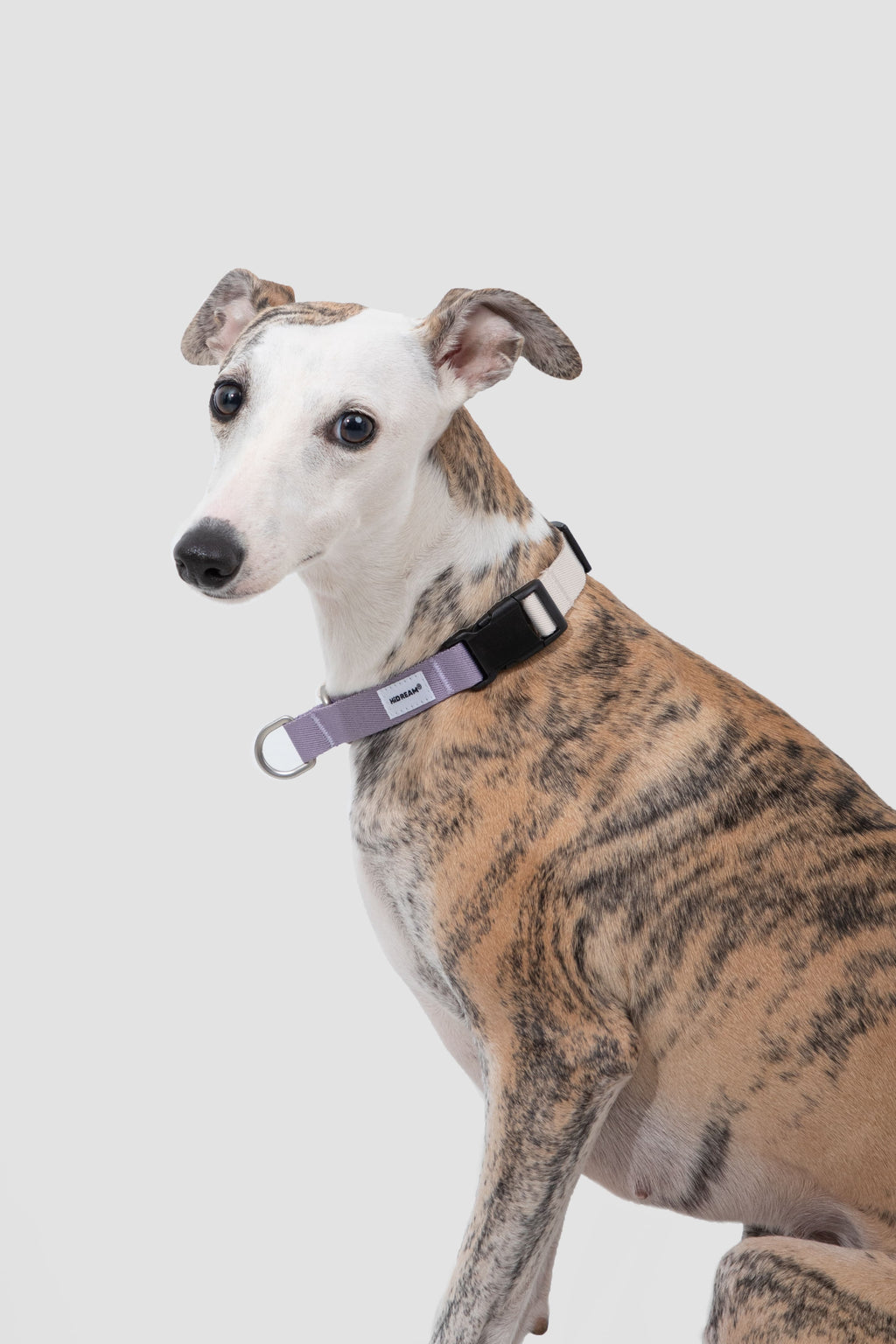 HiDREAM Valley No-Pull Dog Collar