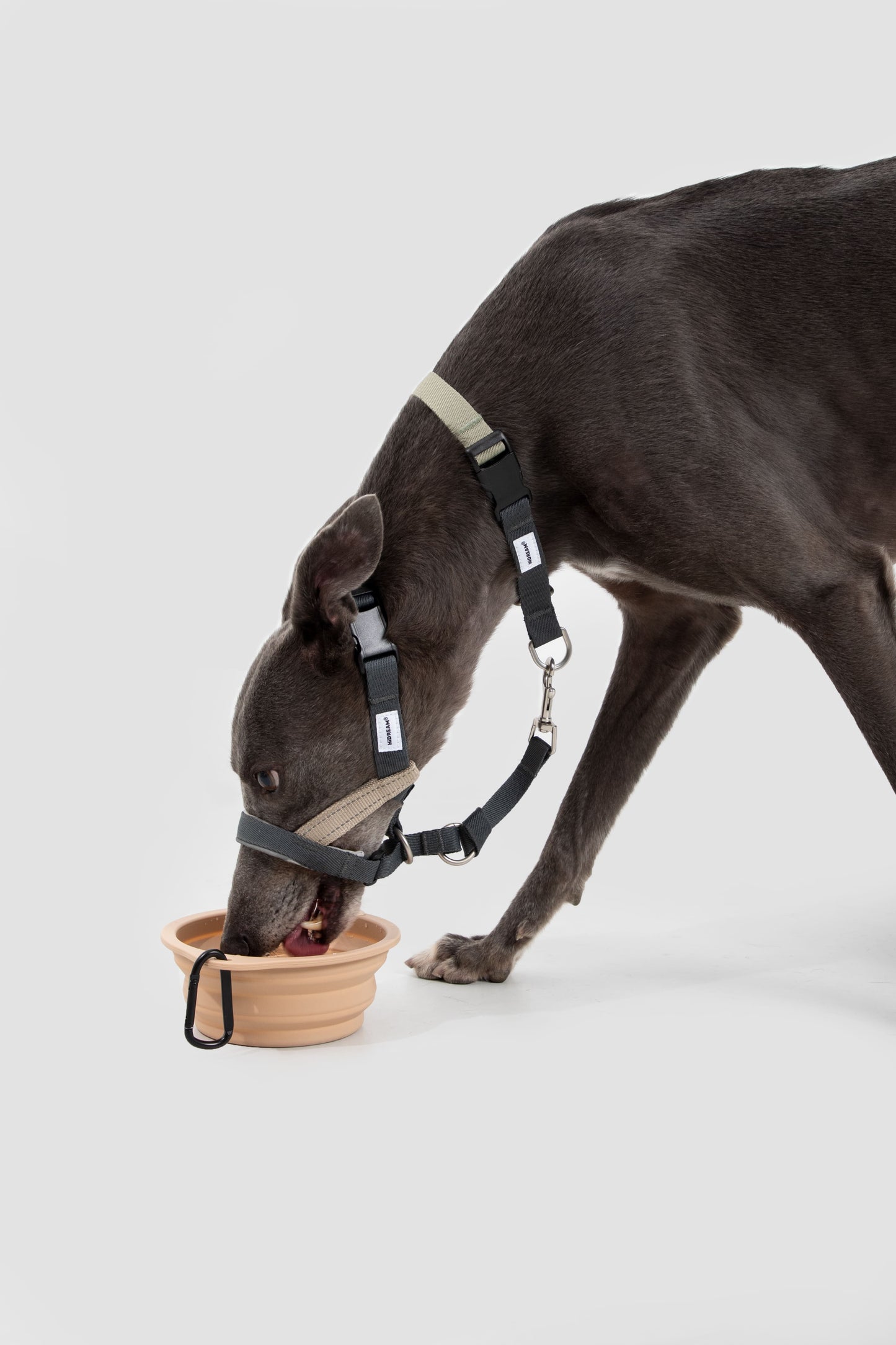 HiDREAM Valley No-Pull Dog Muzzle