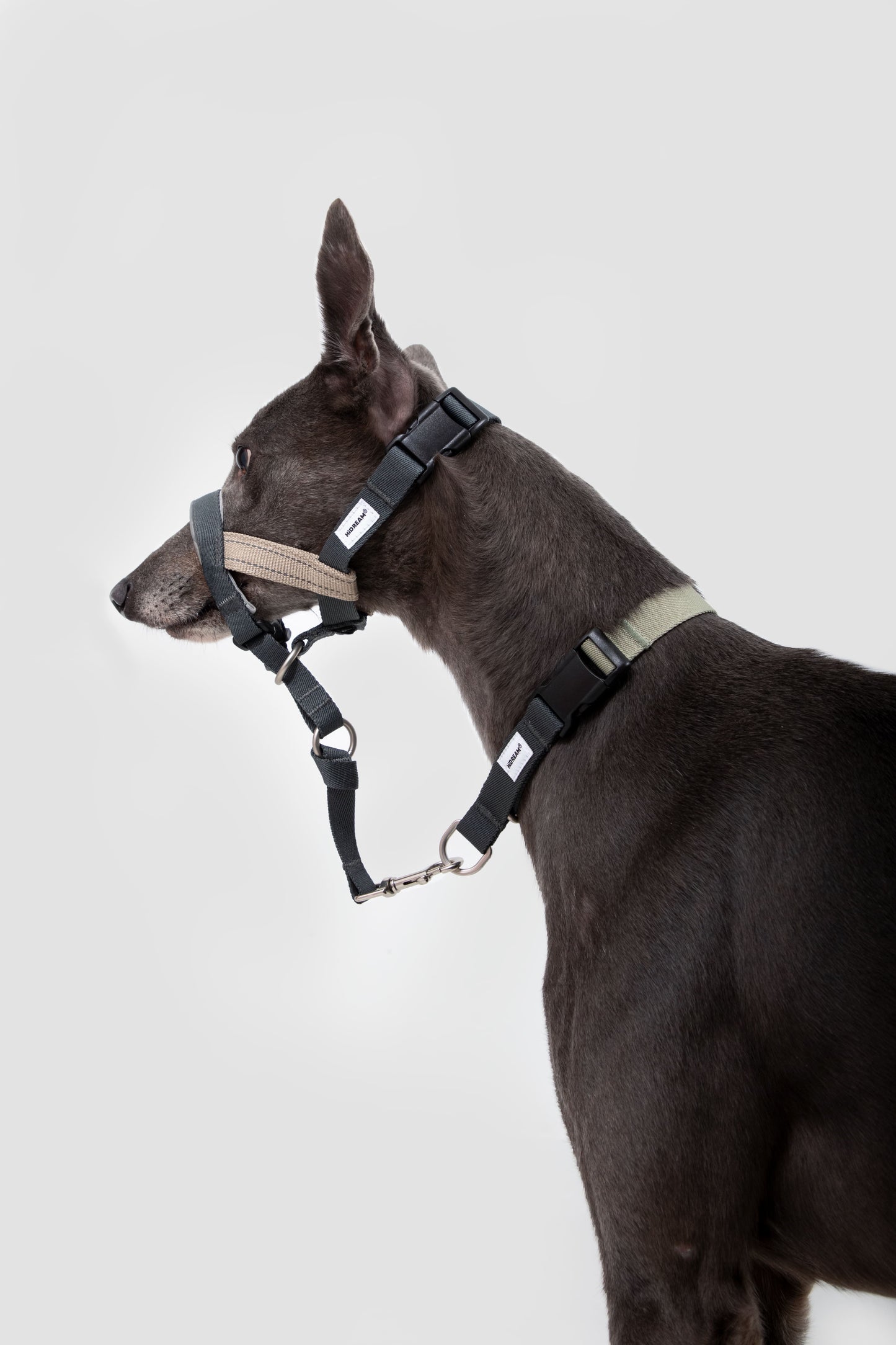 HiDREAM Valley No-Pull Dog Muzzle