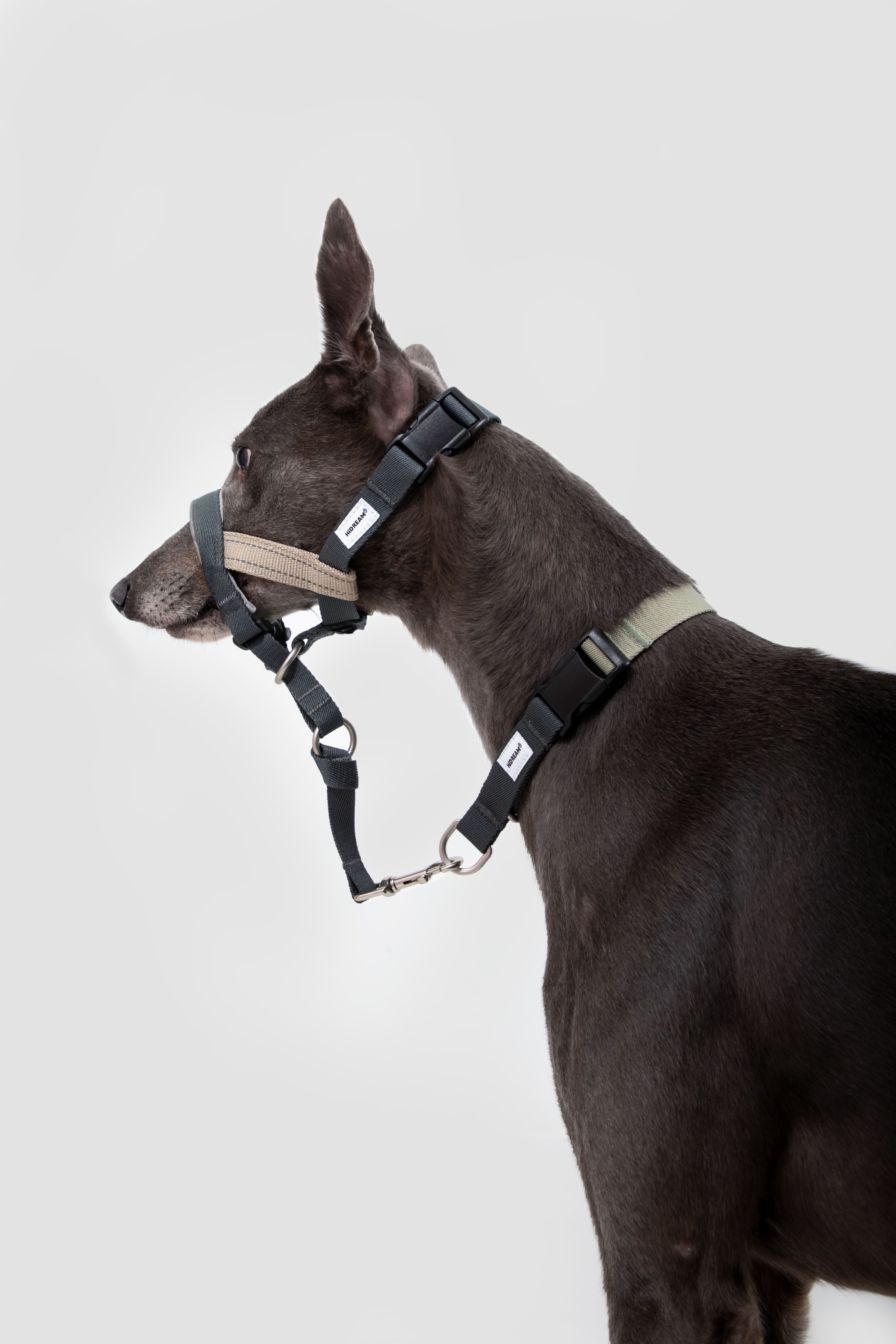 HiDREAM Valley No-Pull Dog Muzzle