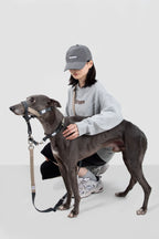 HiDREAM Valley No-Pull Dog Muzzle