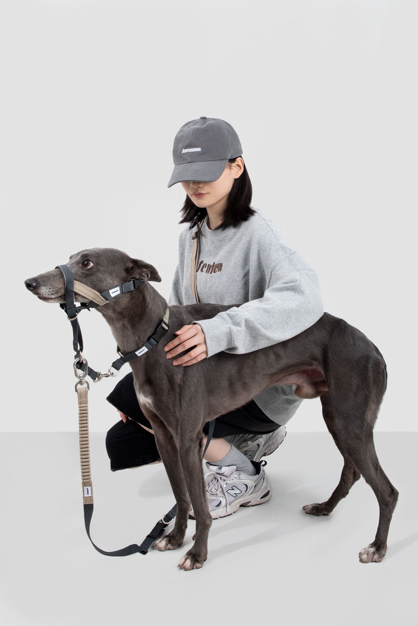 HiDREAM Valley No-Pull Dog Muzzle
