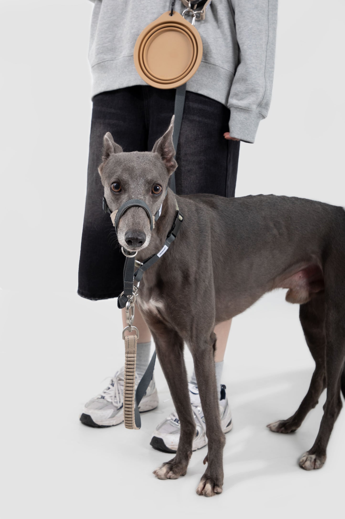 HiDREAM Valley No-Pull Dog Muzzle