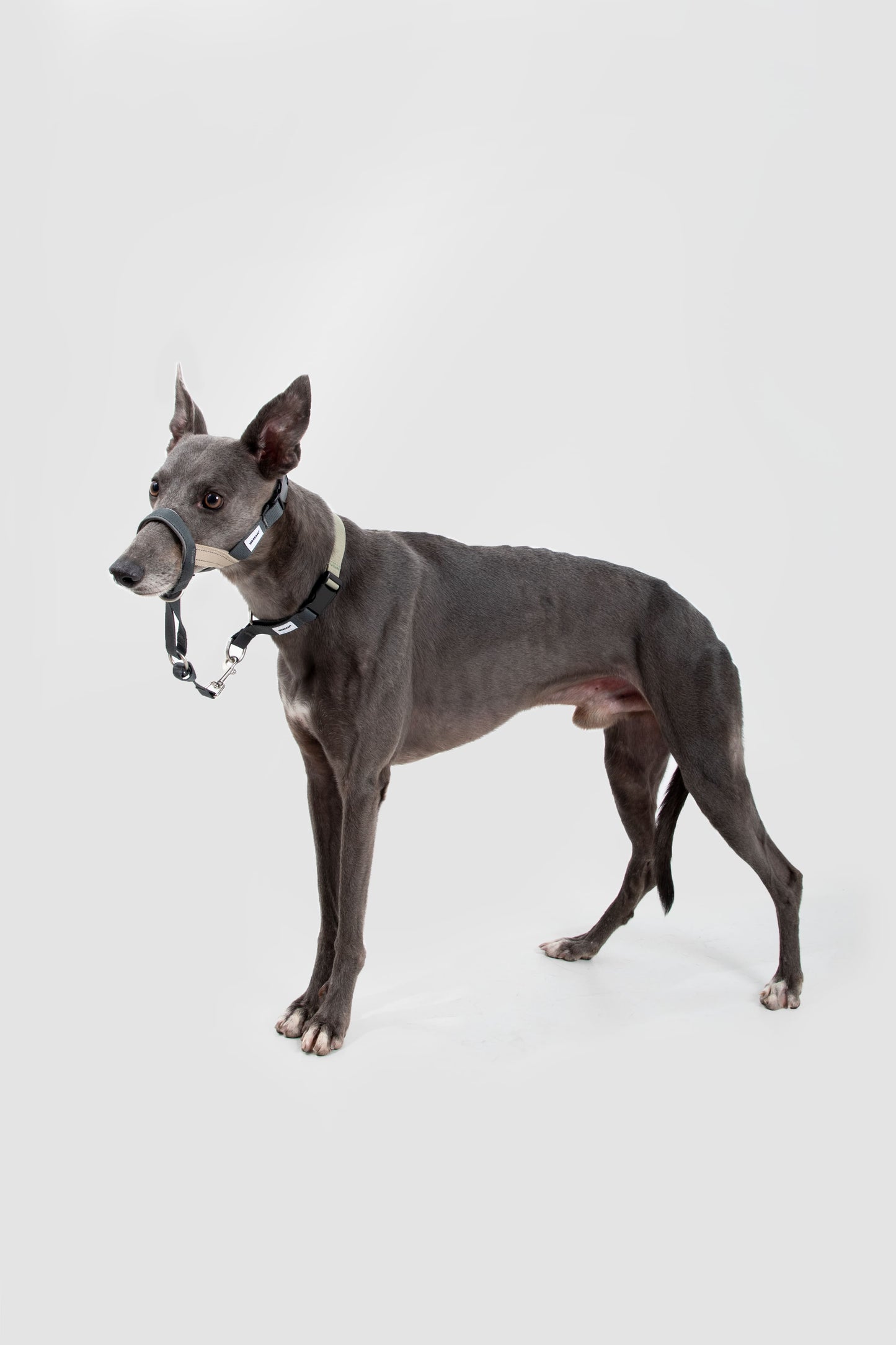 HiDREAM Valley No-Pull Dog Muzzle