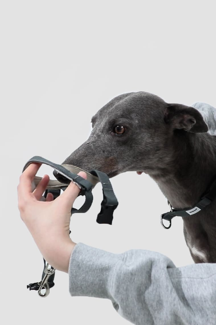 HiDREAM Valley No-Pull Dog Muzzle