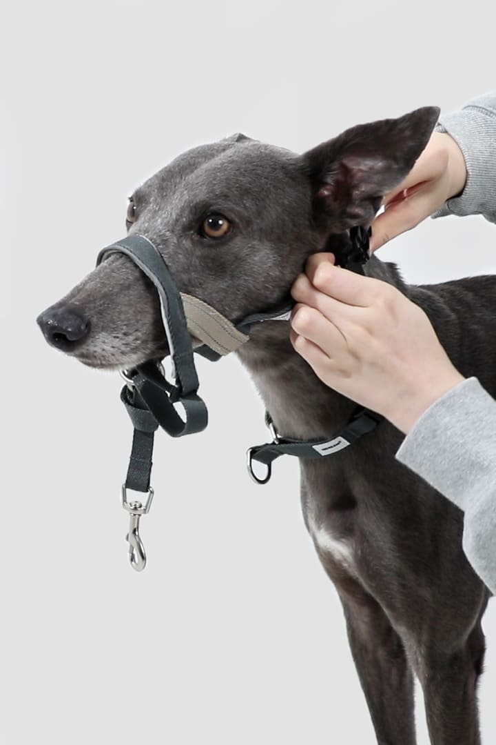 HiDREAM Valley No-Pull Dog Muzzle