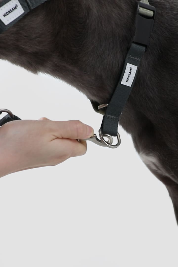 HiDREAM Valley No-Pull Dog Muzzle