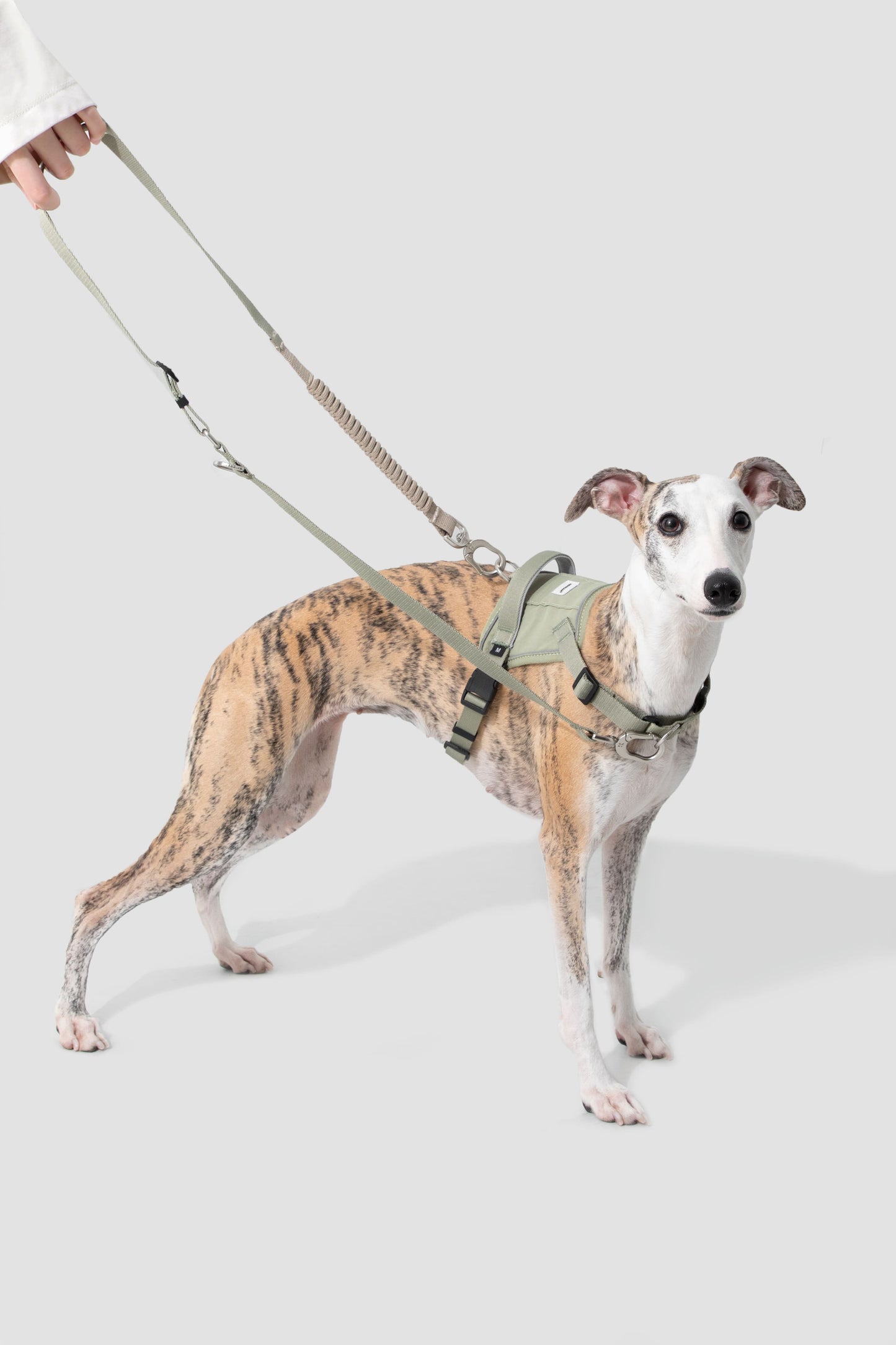 HiDREAM Valley Quick-Wear Step-In Dog Harness