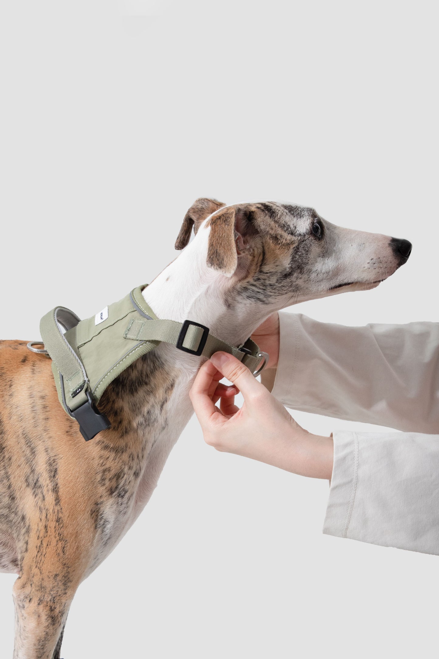 HiDREAM Valley Quick-Wear Step-In Dog Harness