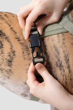 HiDREAM Valley Quick-Wear Step-In Dog Harness