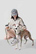 HiDREAM Valley Quick-Wear Step-In Dog Harness