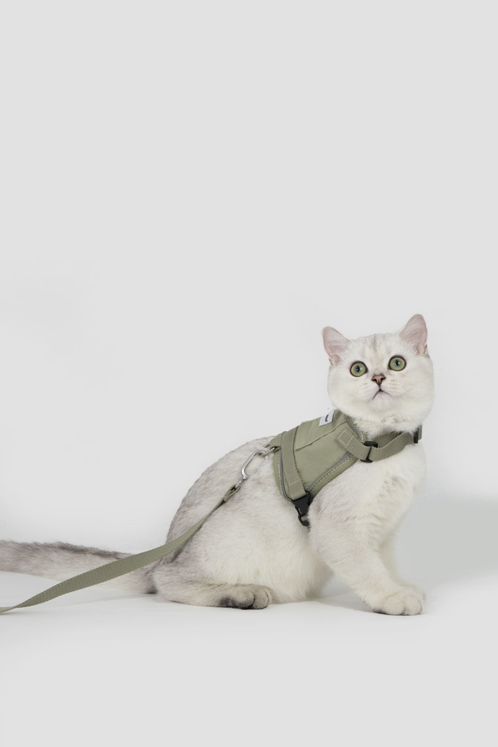 HiDREAM Valley Reflective Cat Vest Harness & Leash Set