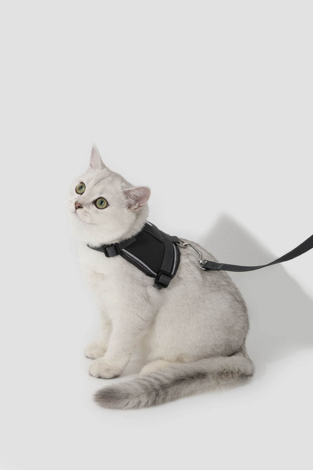 HiDREAM Valley Reflective Cat Vest Harness & Leash Set