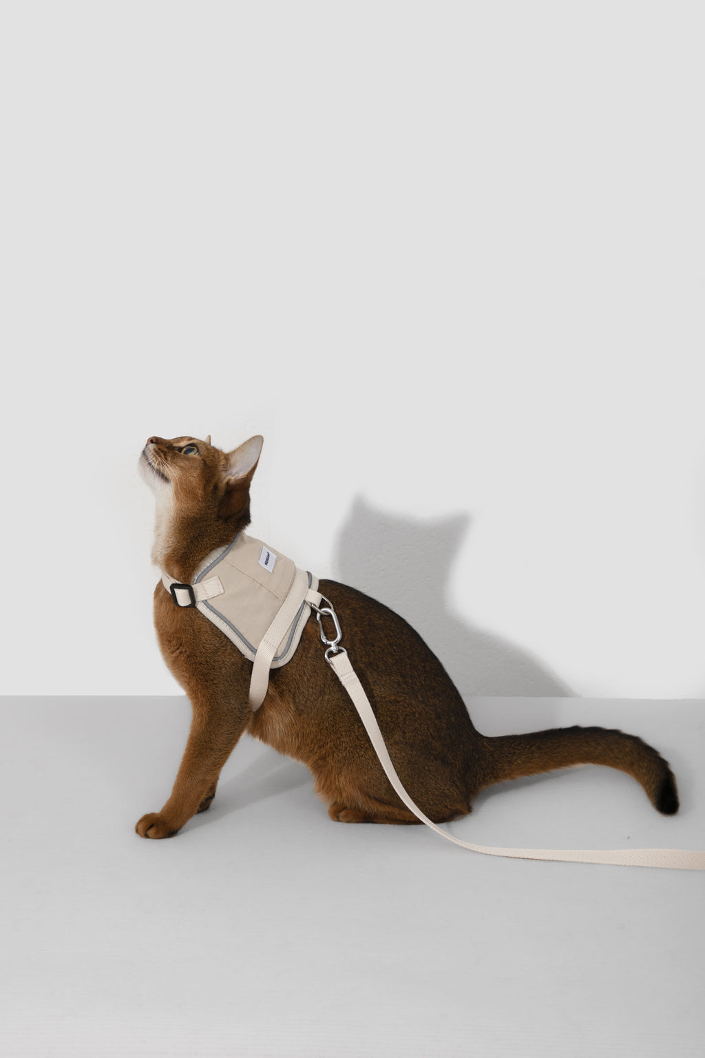 HiDREAM Valley Reflective Cat Vest Harness & Leash Set