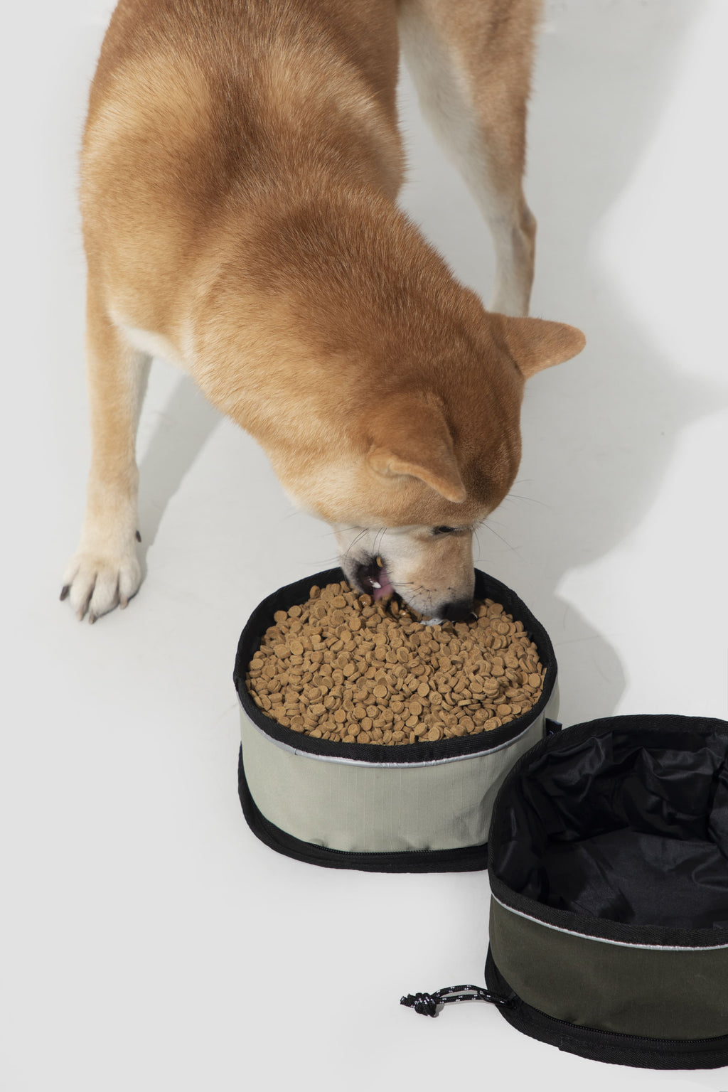 HiDREAM Valley Travel Collapsible Dog & Cat Water Bowl 1000ml