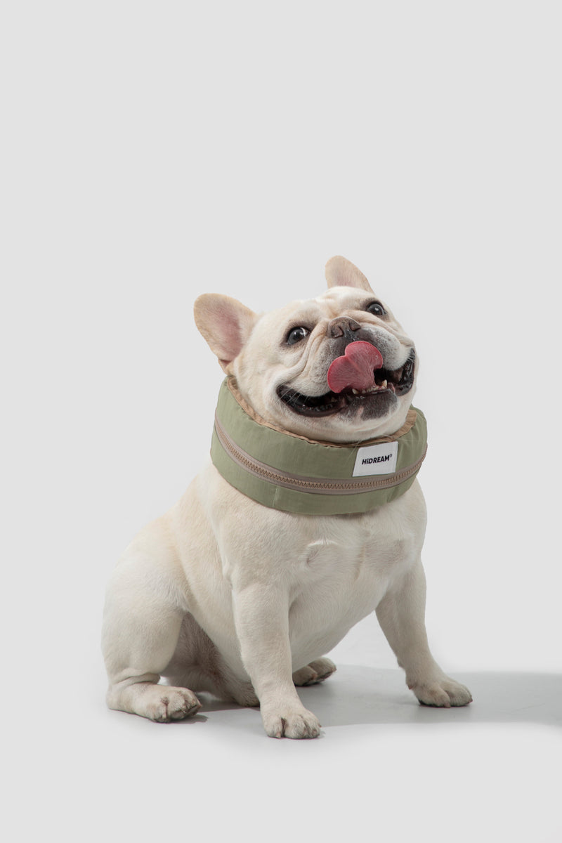HiDREAM Waterproof Cooling Dog Collar