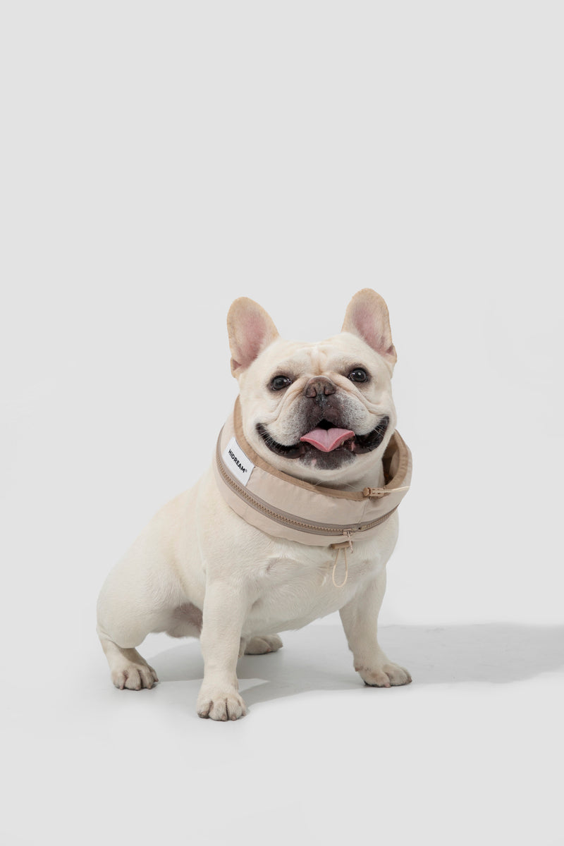 HiDREAM Waterproof Cooling Dog Collar