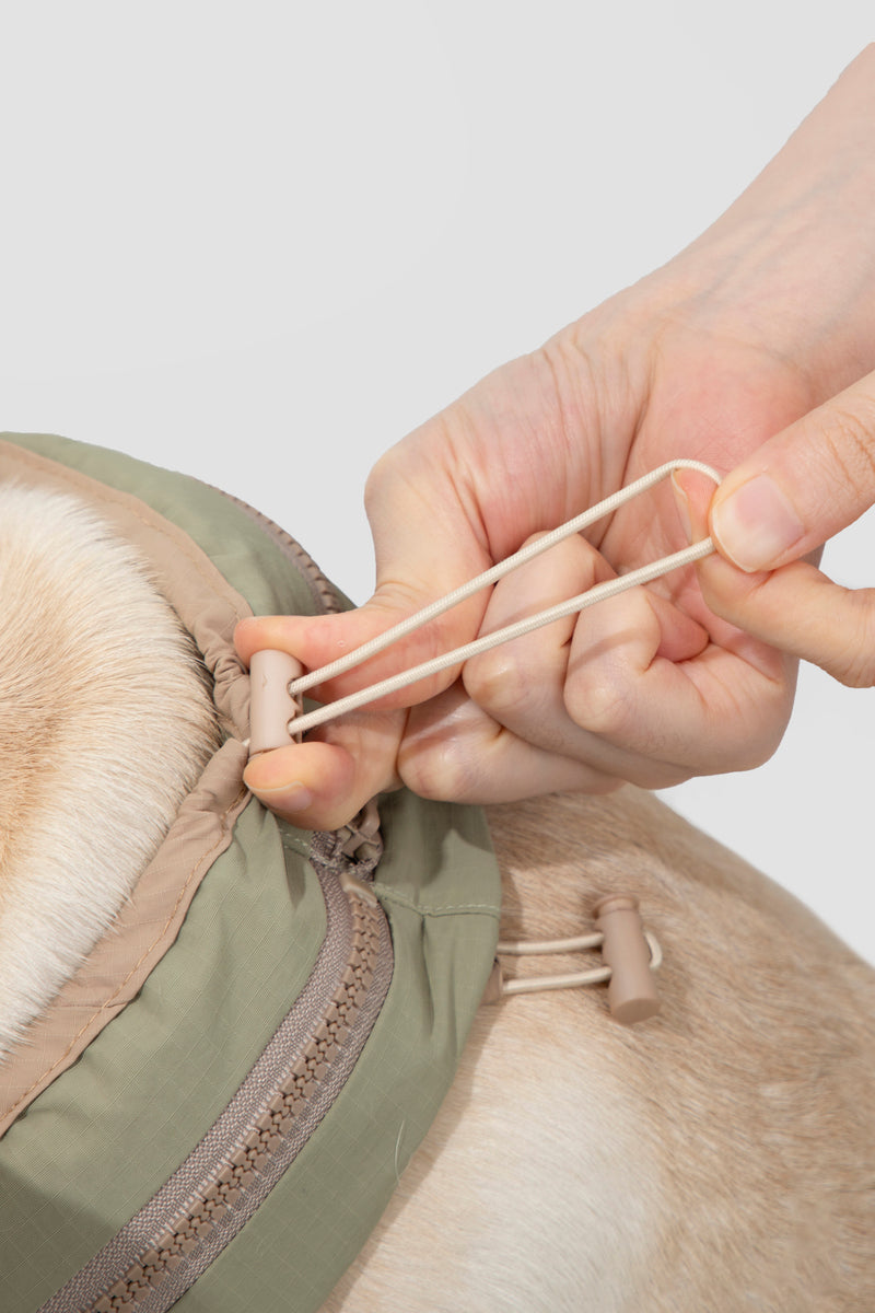 HiDREAM Waterproof Cooling Dog Collar