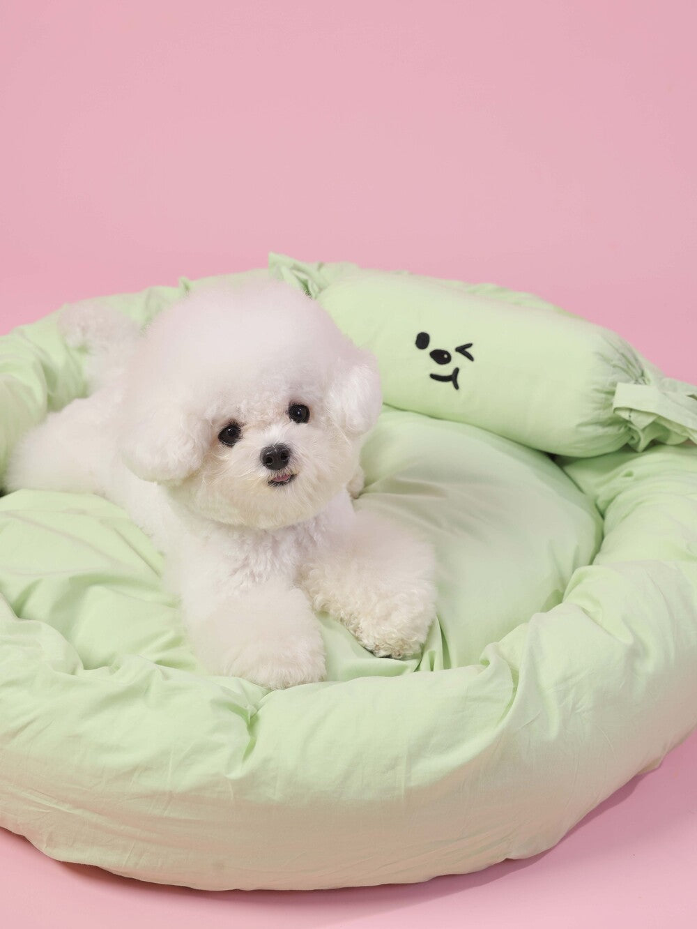 Small white dog sitting on a light green pet bed with a pink background
