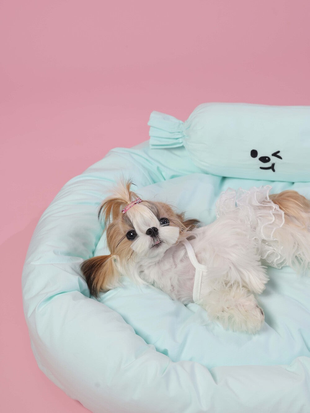 Small dog in a light blue pet bed with a pink background