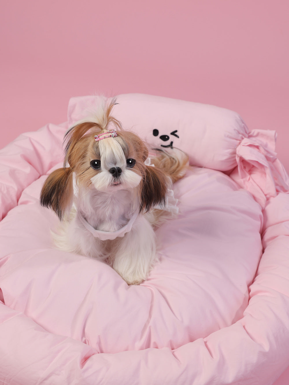 Small dog with a bow sitting on a pink cushion against a pink background