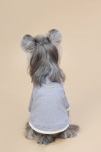 PAWSMOMENT Comfort Cotton Dog T-Shirt - Gray