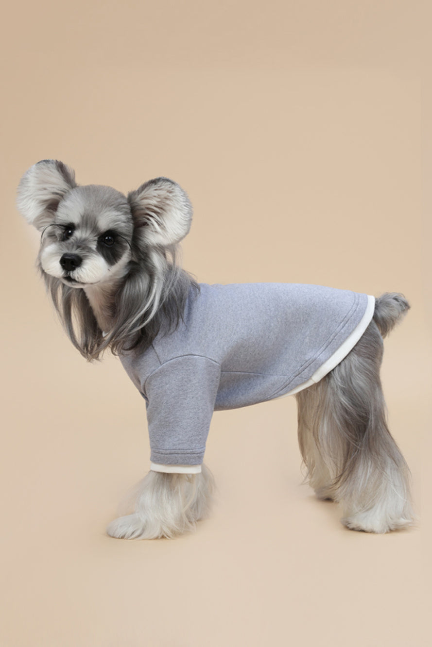 PAWSMOMENT 컴포트 코튼 강아지 티셔츠 - 그레이