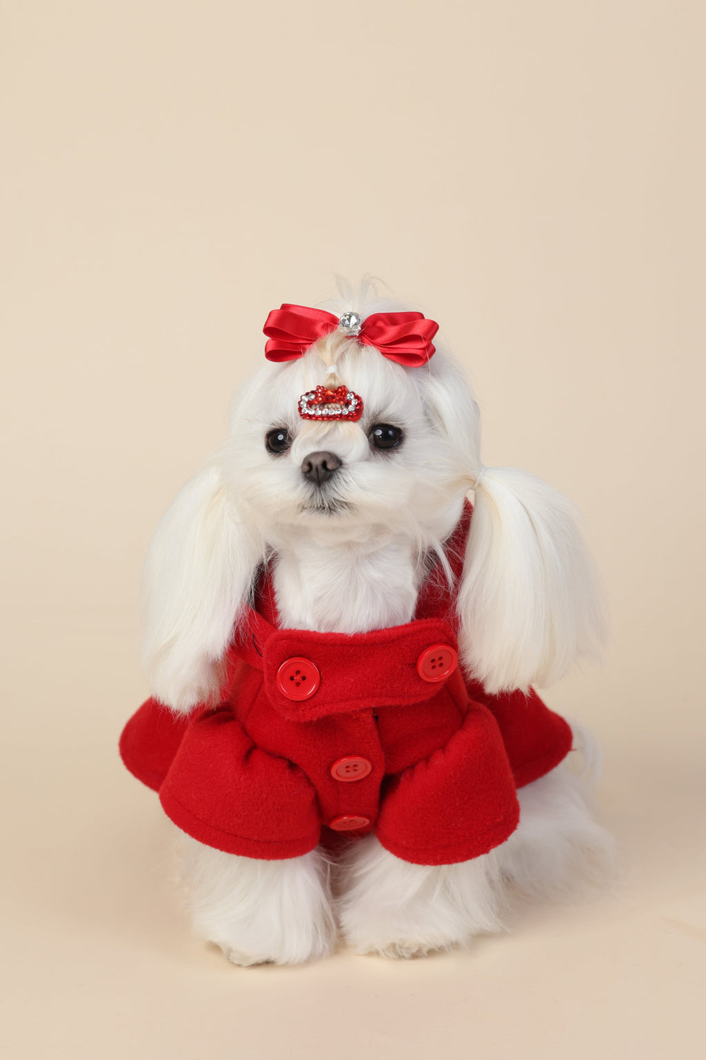 PAWSMOMENT 코튼 강아지 코트 - 레드