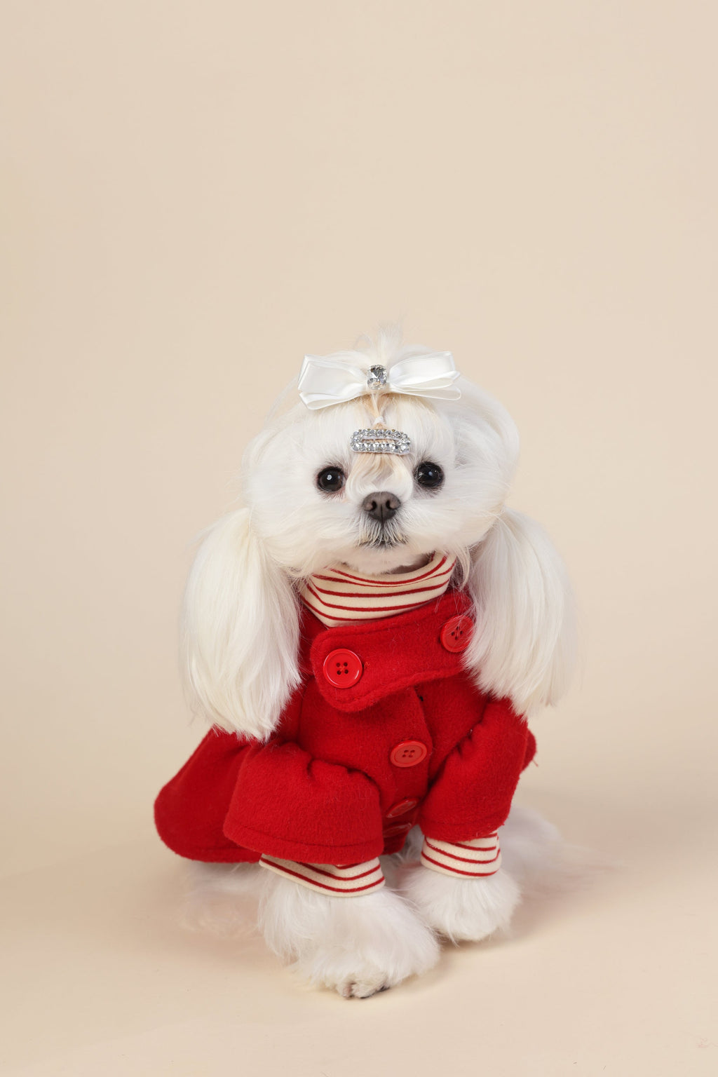 PAWSMOMENT 코튼 강아지 코트 - 레드