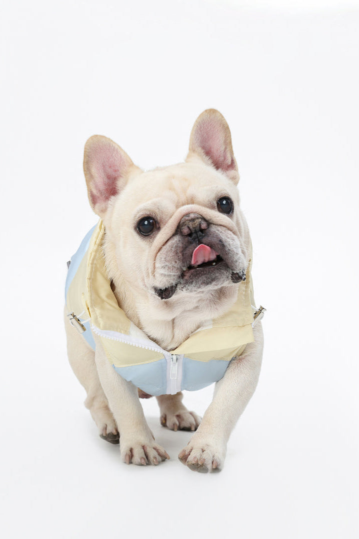 PAWSMOMENT コットン犬用ベストジャケット - カラーブロック