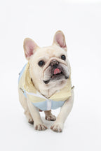 PAWSMOMENT Cotton Dog Vest Jacket - Colorblock