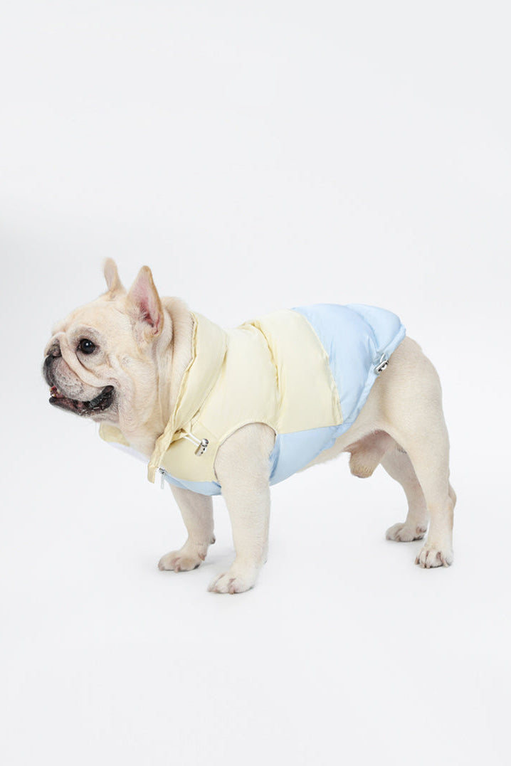 PAWSMOMENT コットン犬用ベストジャケット - カラーブロック