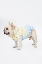 PAWSMOMENT Cotton Dog Vest Jacket - Colorblock