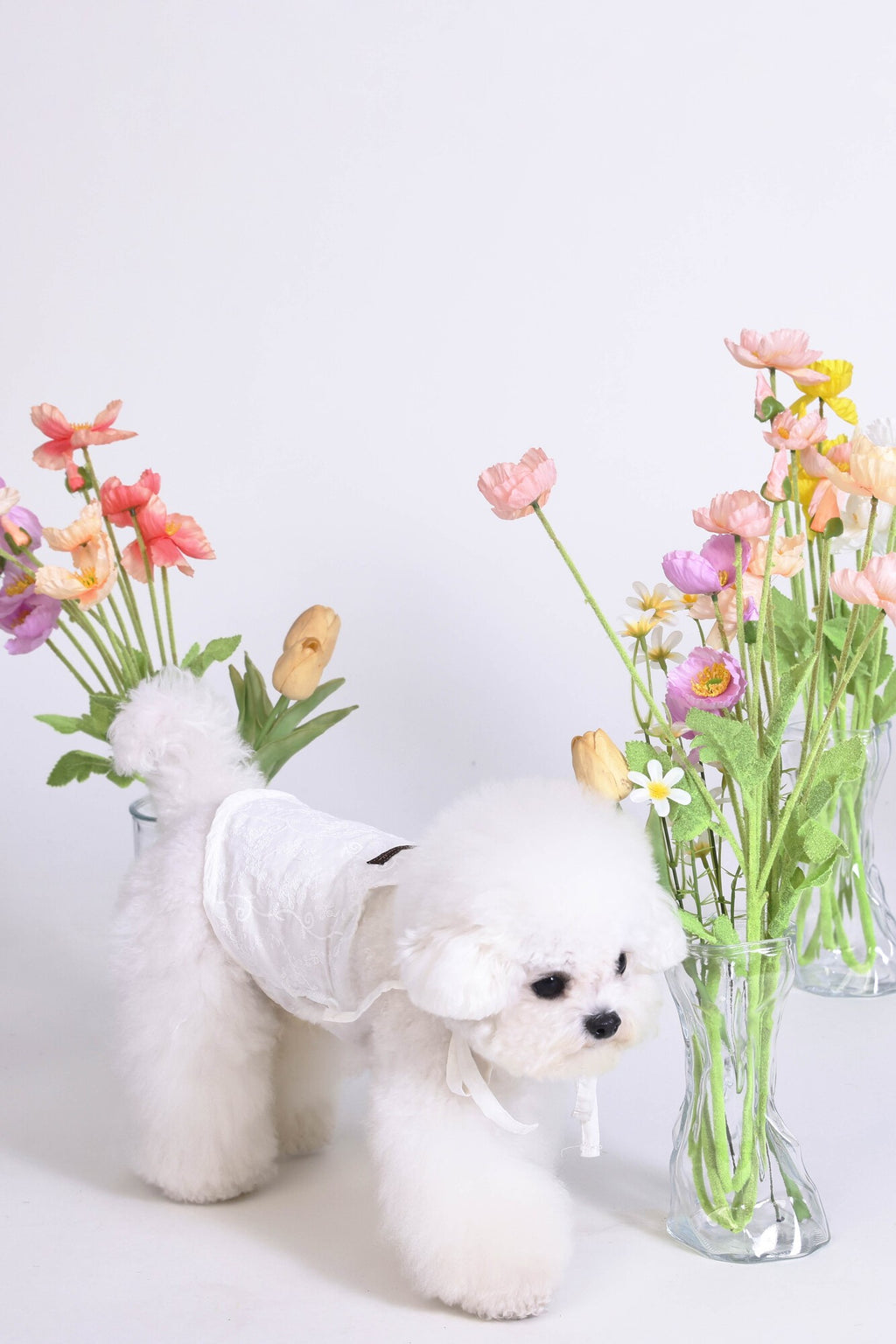 PAWSMOMENT 코튼-린넨 타이업 강아지 셔츠 - 화이트