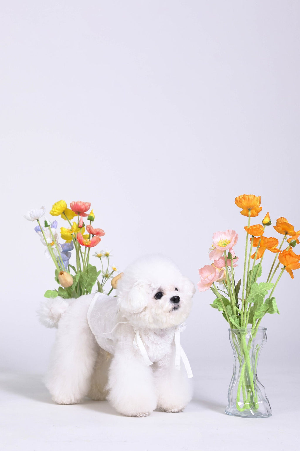 PAWSMOMENT 코튼-린넨 타이업 강아지 셔츠 - 화이트