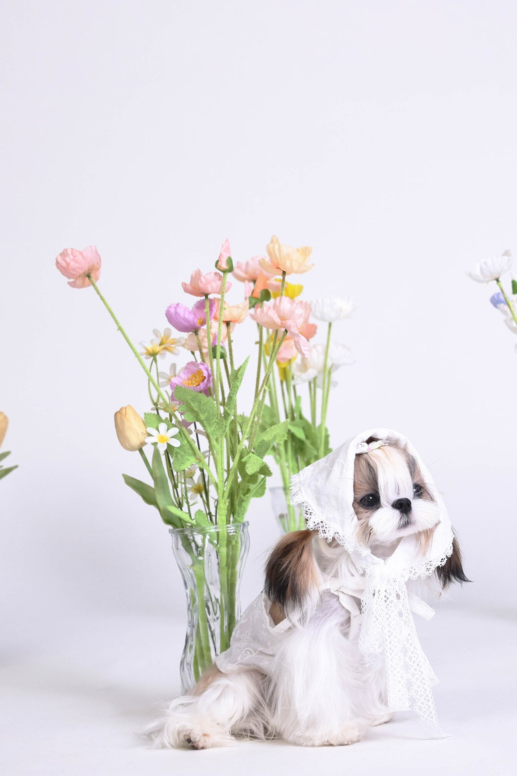 PAWSMOMENT 코튼-린넨 타이업 강아지 셔츠 - 화이트